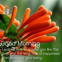 Good Morning Flower Images syot layar 1