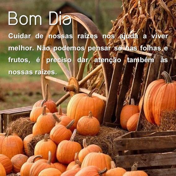 Download do APK de Frases Bonitas de Bom Dia para Android Download do APK de Frases Bonitas de Bom Dia para Android