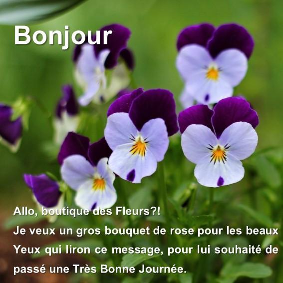 Sms Pour Dire Bonjour For Android Apk Download