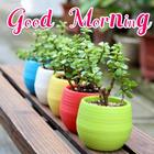 Good Morning Beautiful Message-icoon