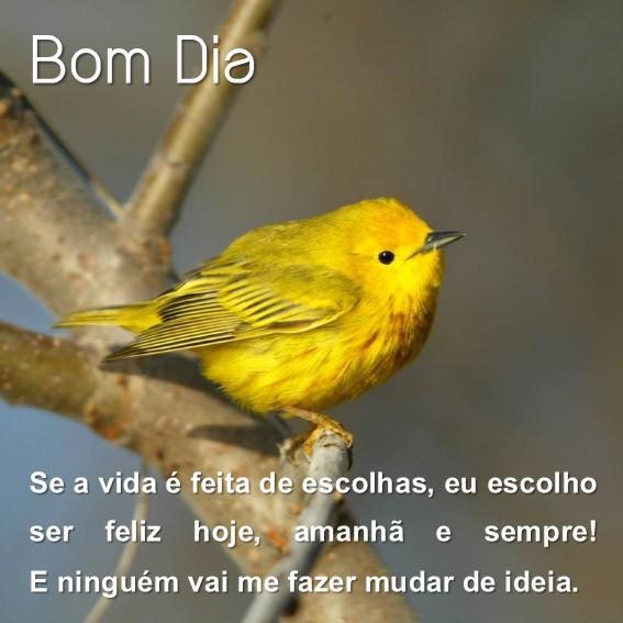 Download do APK de Frases lindas de bom dia para Android Download do APK de Frases lindas de bom dia para Android