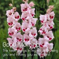 Good Morning Flower Affiche