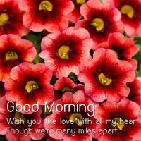 Good Morning Flower syot layar 3