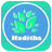 Hadiths APK
