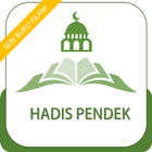 Hadis Pendek (Seri 14) 图标