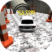 Simulator Pro: Crazy Racing