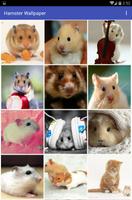 Hamster Wallpaper पोस्टर