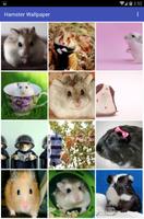 Hamster Wallpaper تصوير الشاشة 1