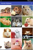 Hamster Wallpaper تصوير الشاشة 2
