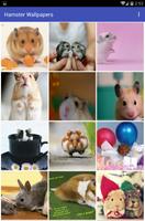 Hamster Wallpapers Affiche