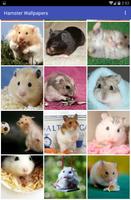 Hamster Wallpapers স্ক্রিনশট 1