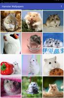 Hamster Wallpapers تصوير الشاشة 2