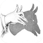 Hand Shadow Arts icon