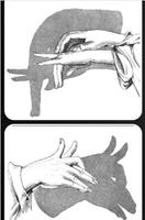 Hand Shadow Tricks 포스터