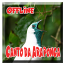 APK Canto da Araponga Mp3