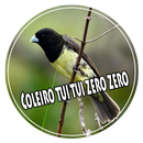 Coleiro tui tui zero zero aplikacja