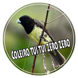 Coleiro tui tui zero zero icon