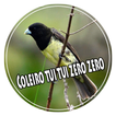 Coleiro tui tui zero zero