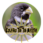 Coleiro Tui Tui Mestre icon