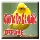 Canto do Canario Offline APK