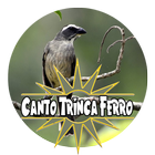 Mp3 Canto Trinca Ferro 圖標