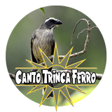 Mp3 Canto Trinca Ferro آئیکن