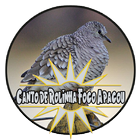 Mp3 Canto de Rolinha Fogo Apagou icon