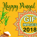 Happy Pongal GIF Images 2018 APK