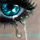 Haryanvi Sad Video Songs-icoon