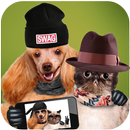 Hat Photo Editor-Fashion style APK