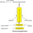 Chemistry Basic: Glycerol Definition