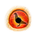 Pigeon Pedigree APK