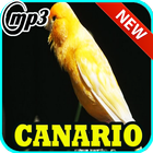 Canto Canario Belga Campainha Mp3 आइकन