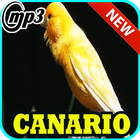 Canto Canario Belga Campainha Mp3 icon