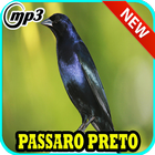 Canto Passaro Preto Grauna Mp3 아이콘