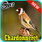 Canto Chardonneret Parva 아이콘