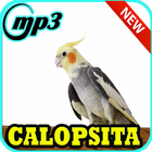Canto de Calopsita Brasileiros Mp3 icône