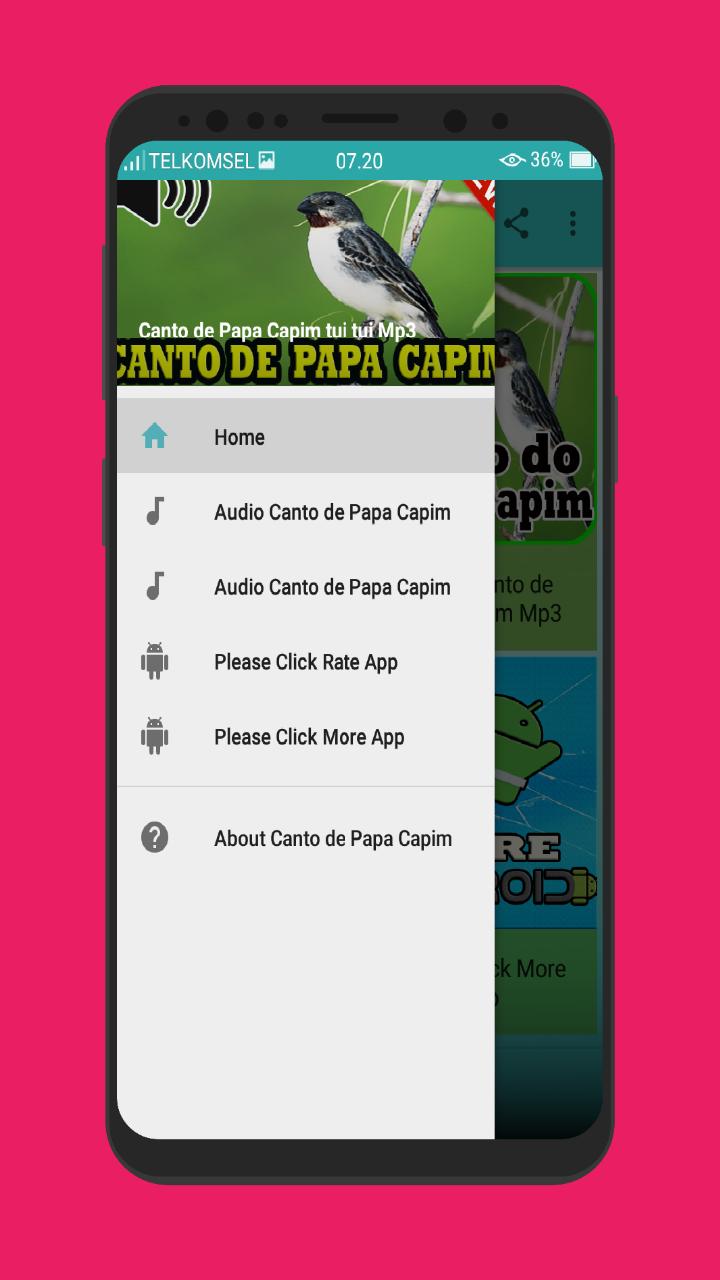 Canto de papa capim tui tui