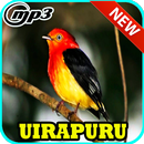 Cantos de Uirapuru Verdadeiro Mp3 APK