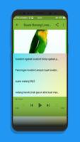 Kicau Burung Memancing LoveBird Mp3 syot layar 3