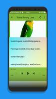 Kicau Burung Memancing LoveBird Mp3 imagem de tela 3