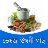 ঔষুধী গাছের গুনাগুন иконка