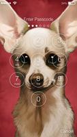 Chihuahua Dog Little Cute Puppy HD Wallpaper Lock imagem de tela 1