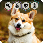 Corgi Dog Puppy Cute HD Wallpaper App Screen Lock icône