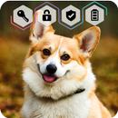 Corgi Dog Puppy Cute HD Wallpaper App Screen Lock APK