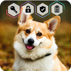 Corgi Dog Puppy Cute HD Wallpaper App Screen Lock 아이콘