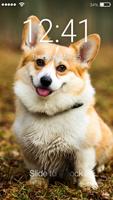 Corgi Dog Puppy Cute HD Wallpaper App Screen Lock Affiche