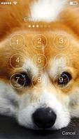 Corgi Dog Puppy Cute HD Wallpaper App Screen Lock capture d'écran 1