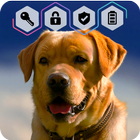 Labrador Dog Retriever Puppy Wallpaper Screen Lock-icoon