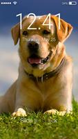 Labrador Dog Retriever Puppy Wallpaper Screen Lock 海報